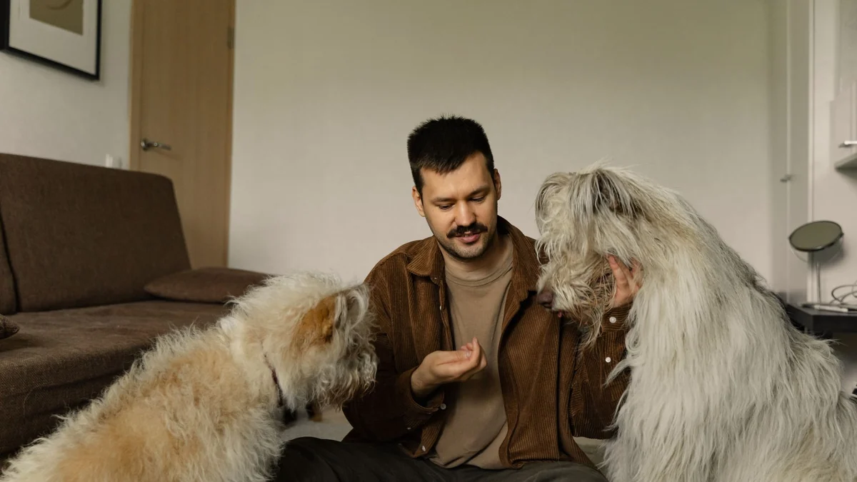 Why consistency matters more than complicated dog-training techniques